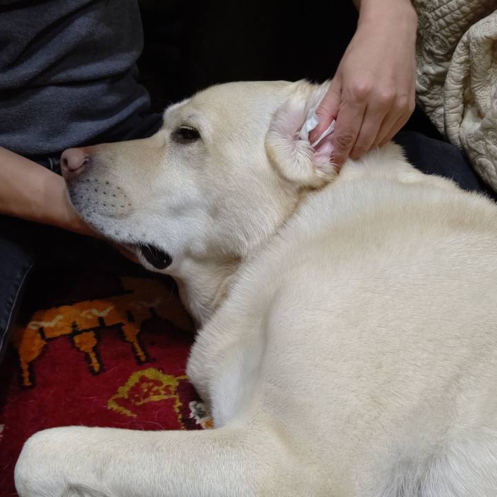 6c3bec3f 9fc5 4d3b 8429 6d68dc3654b4 1642848853527