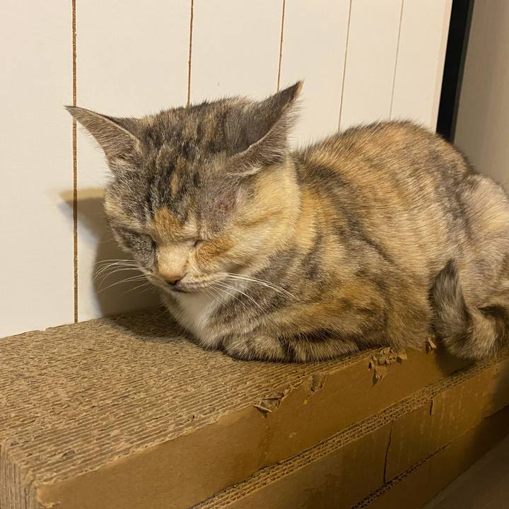 6c3c07df 0bb1 4670 ad5b d10586baa3ac 1612718362028