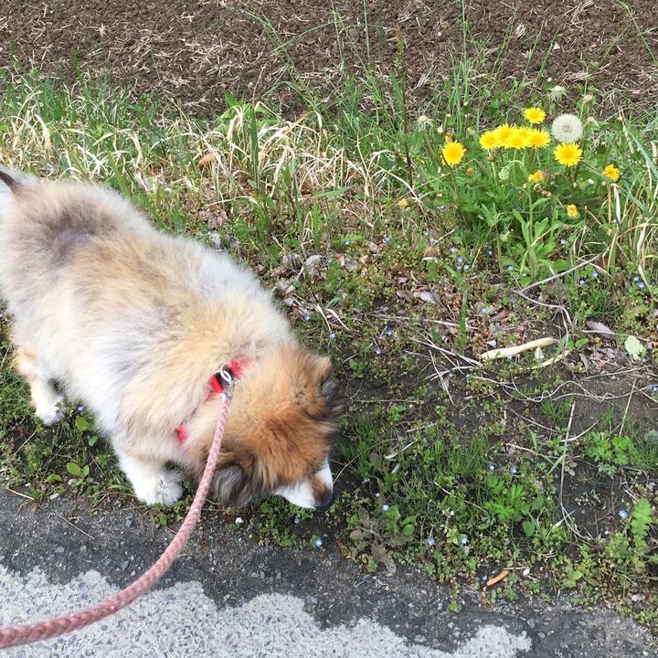 6c3c0bba 9a89 4a0d 9988 2b84093284b0 1622206746654