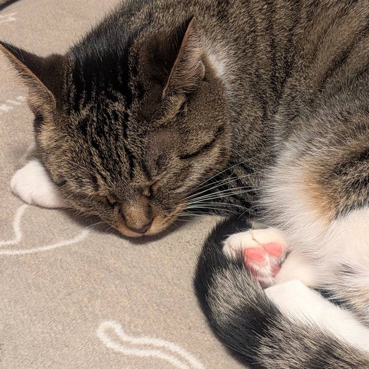 6c3c1b1c c2ec 44f2 b009 551f6b166801 1761047107754