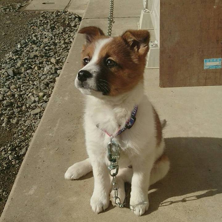 6c3c2617 cc9f 40f1 a210 9fee3bbd4f10 1759177066223