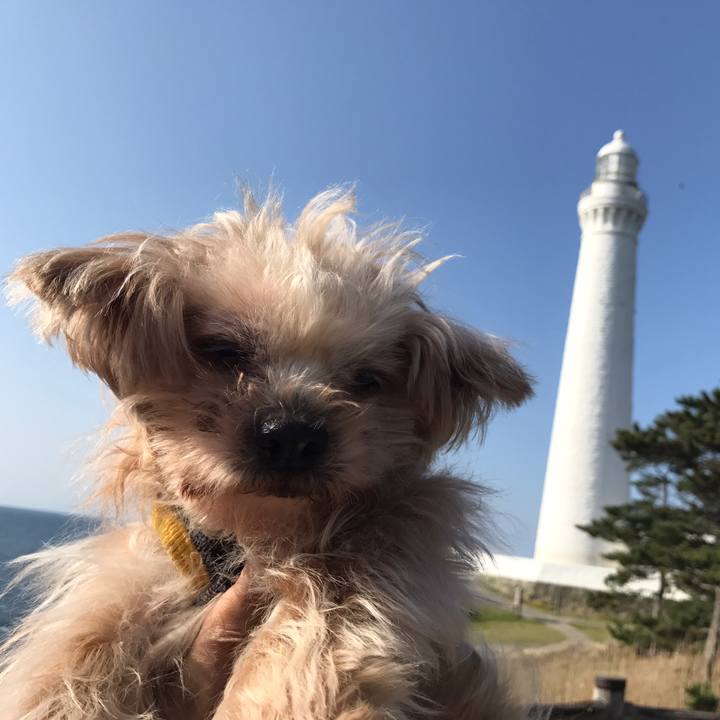 6c3c2709 2a66 48ff 91a1 1d52f14d074c 1563980704555