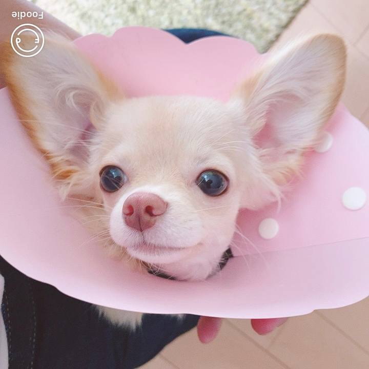 6c3c2f64 caf1 4c9a 84e3 86d717b733e3 1599196504826