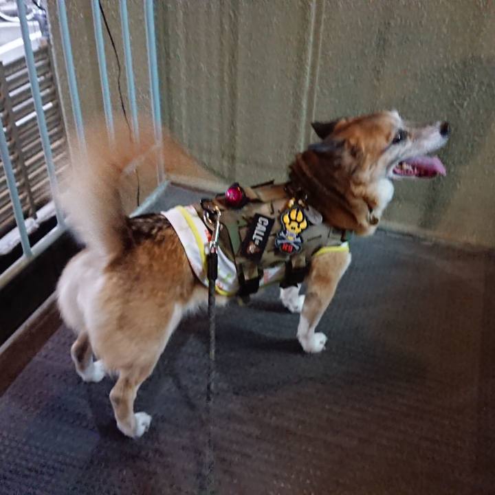 6c3c9f02 9aa7 4ca6 bb70 ee13c5b00b47 1559745966213