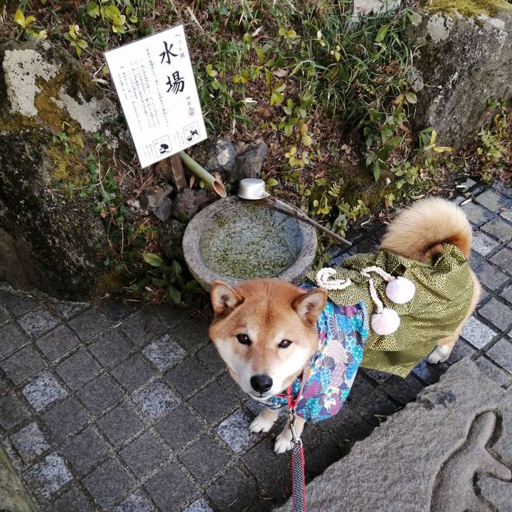 6c3cab13 6939 4549 a773 cff0e9946c9e 1581079060779