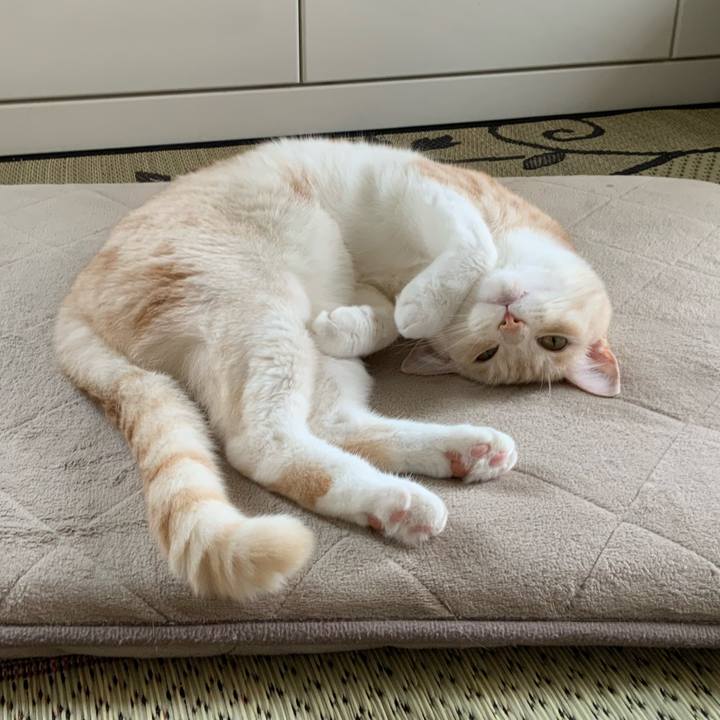 6c3ceab2 7dd8 4f1a 8ef4 2615fb116a5f 1687830883895