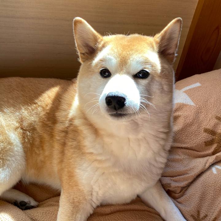 6c3d06d6 9290 48ea 896b 196de63155f6 1646059101004