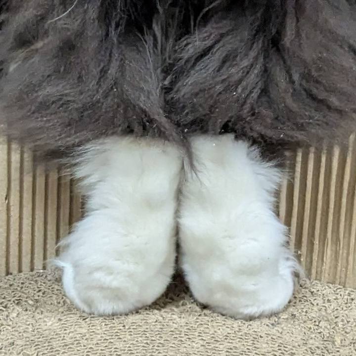 6c3d0c79 289d 47d5 bbb5 11e99f3e4f1f 1737458894630