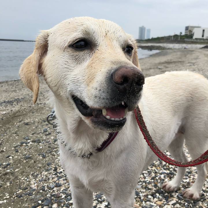 6c3d23fc 6957 4c2d 8136 8ee88285496f 1591072433857