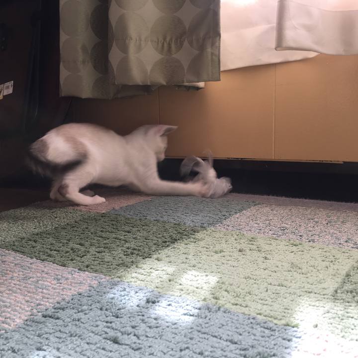 6c3d2c62 6f6a 4d73 9698 e2b2f3cd6a17 1532993680273