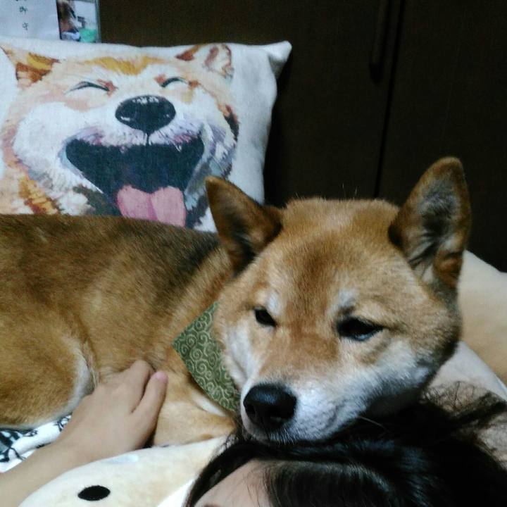 6c3d32c9 4f28 4ad2 b4a1 abab4046b2b0 1527253525546