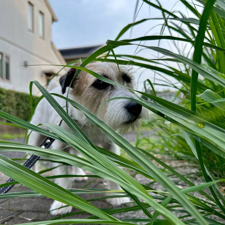 6c3d35b6 5c11 4e6e b8d9 c2e50c66e2ea 1721958525533