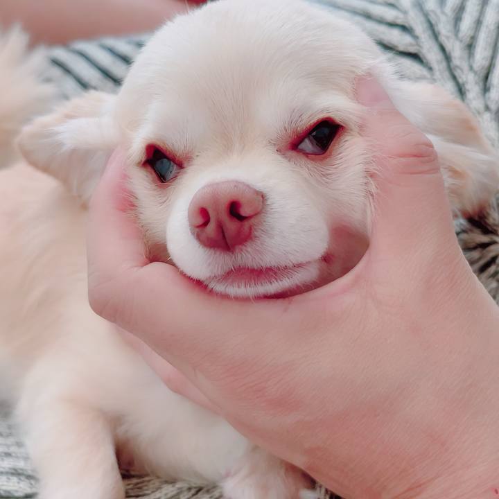 6c3d42c0 33ba 4764 bfe4 7e816f69f621 1694868841759