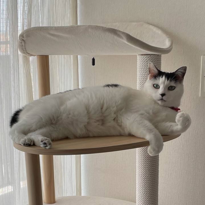 6c3d6399 faa3 4db8 bd14 194eb10f4680 1615508257339