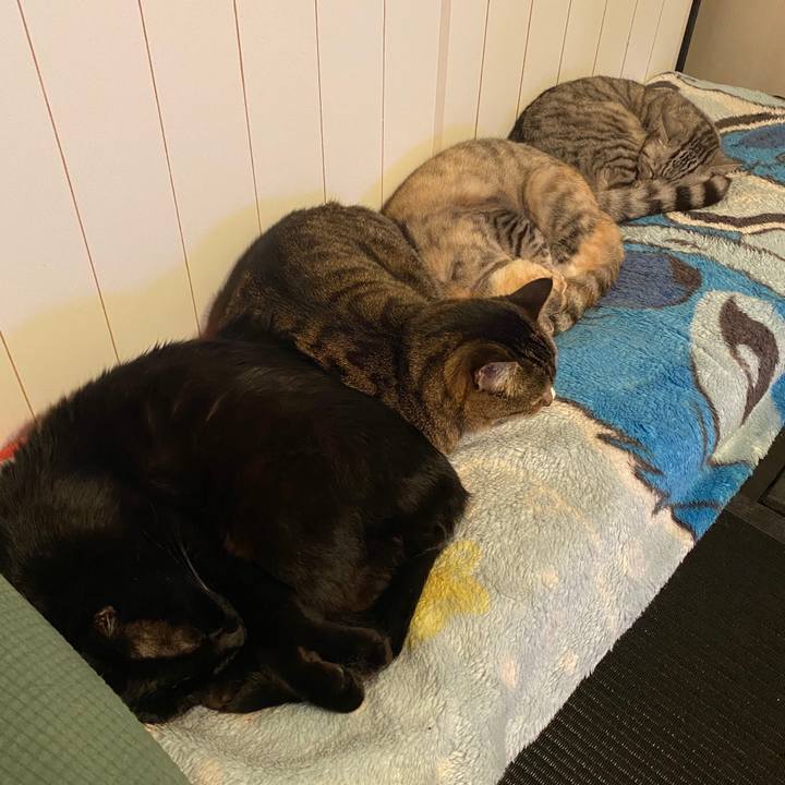 6c3d6e70 d3ef 42aa 8297 e0c397007547 1582630233823