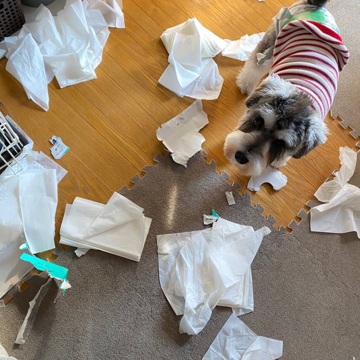 6c3d74f3 6f91 49df b5a8 0b7c195437d6 1577943283516