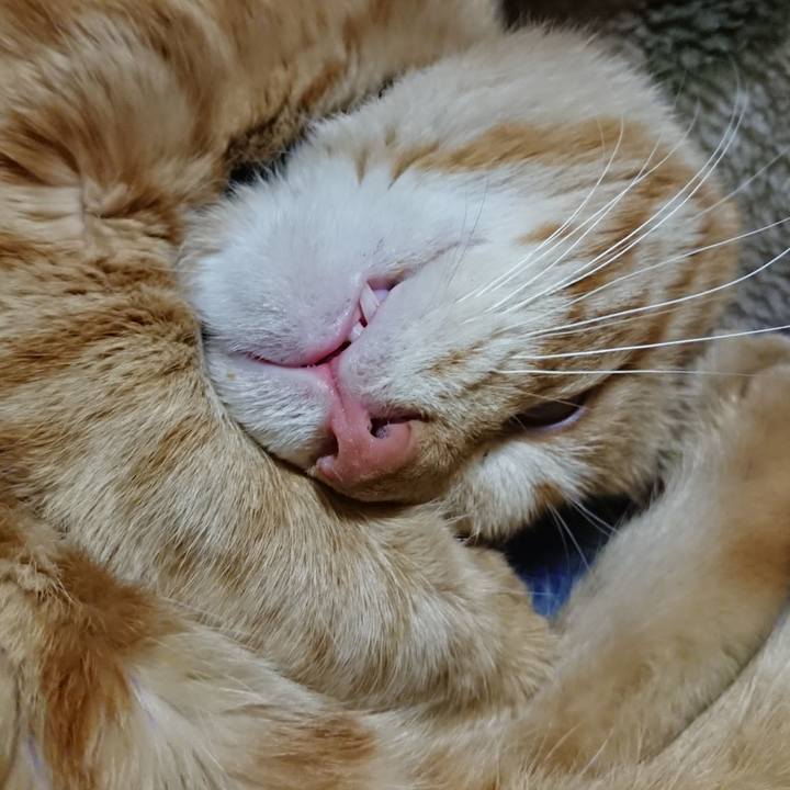 6c3d8b40 a6ac 4571 84cb ee195fc7bc3d 1648126433668