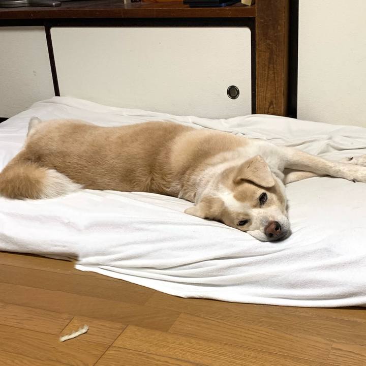 6c3d9dd3 c80d 40ec 863c 14f36e10a25a 1599741002573