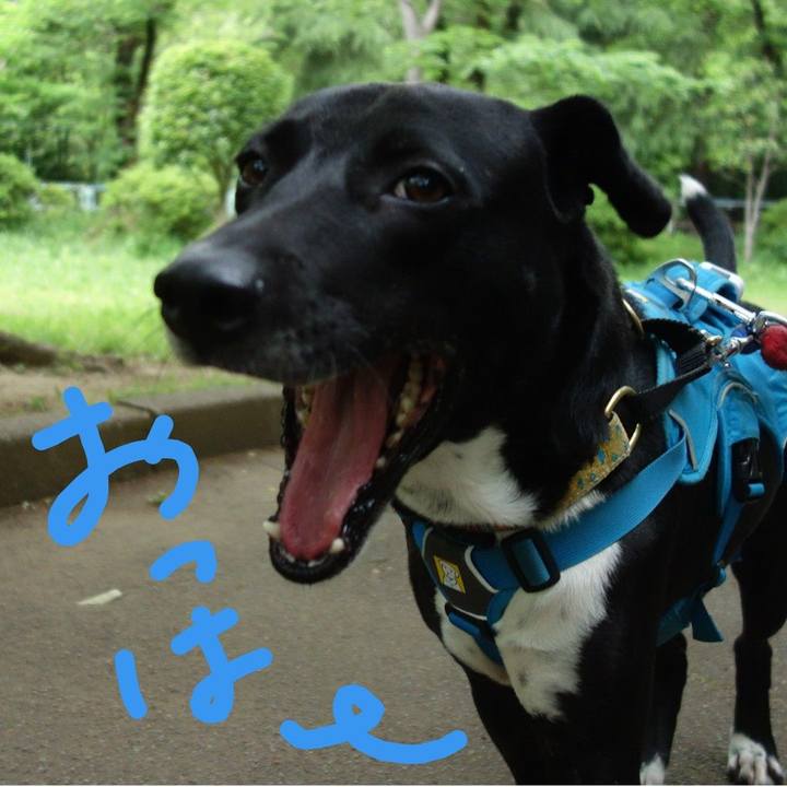 6c3df8a2 1102 43a3 86cf bdac4e7943c3 1620692187057