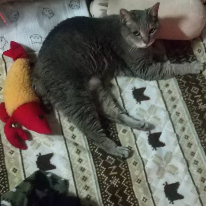 6c3e0072 52e1 4737 acc4 dd2f3bea879f 1678247866626