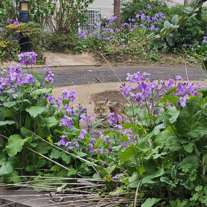 6c3e0453 7fe3 4294 8b96 6c40ac9012a6 1711883346332