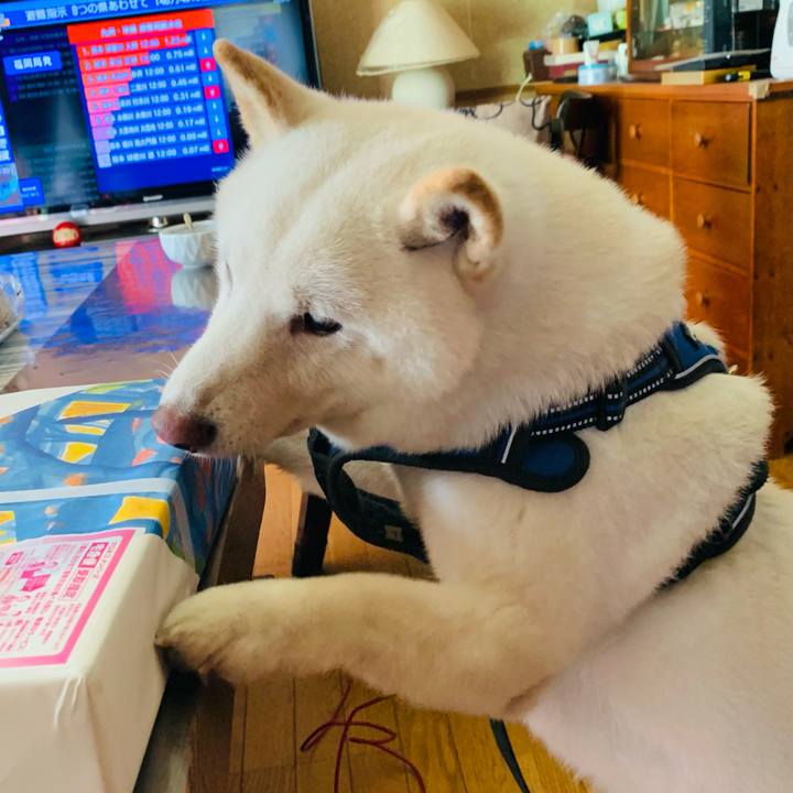 6c3e0dab e9bc 415c 884b cf4e0874ecd6 1629095763540