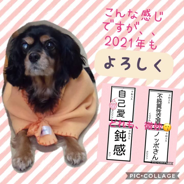 6c3e30fb da4b 4579 8e3f 1f3bc0daf7bf 1609594682929