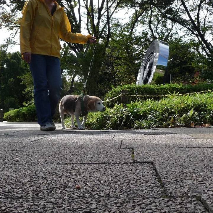 6c3e84fe b3f1 4f2b 8021 9b56ba596478 1702340662640