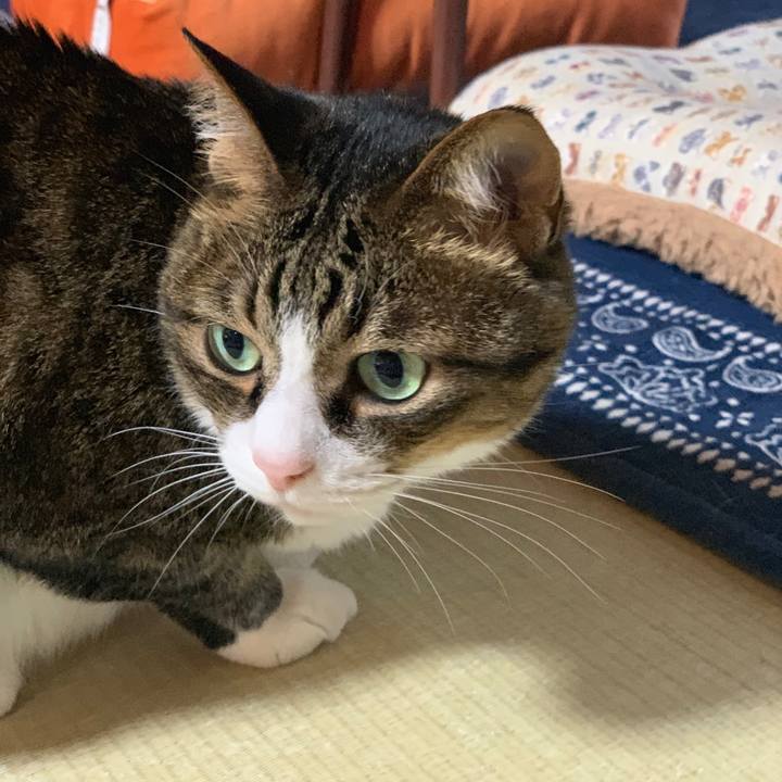 6c3ea2ca 7531 49bf aac5 69c9305ba00f 1561196130030