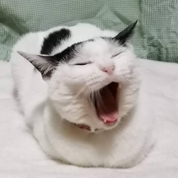 6c3eb28b a2e1 4d87 9c9d 4248ef205ff3 1539174533134