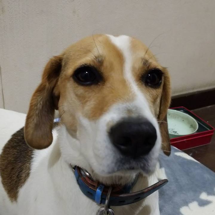 6c3ebc1e d3fc 47eb 93b2 4b5deec93d0e 1607772223421