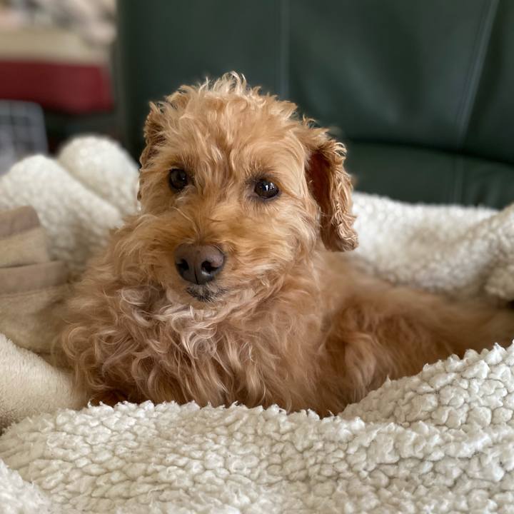 6c3ebea7 c25a 4803 9521 e479af60cd48 1619996465970