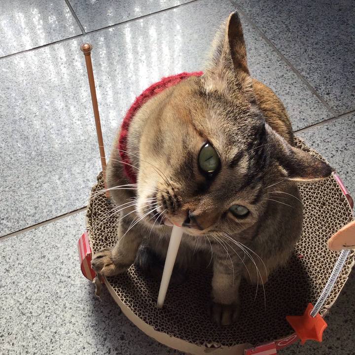 6c3ef9b2 79bb 40cc 9067 2360a092539d 1612067462984