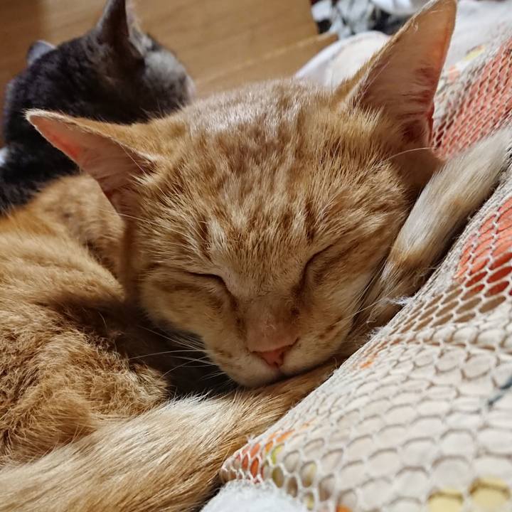 6c3f7001 da68 4cc4 8d33 a4171666f950 1584363217442