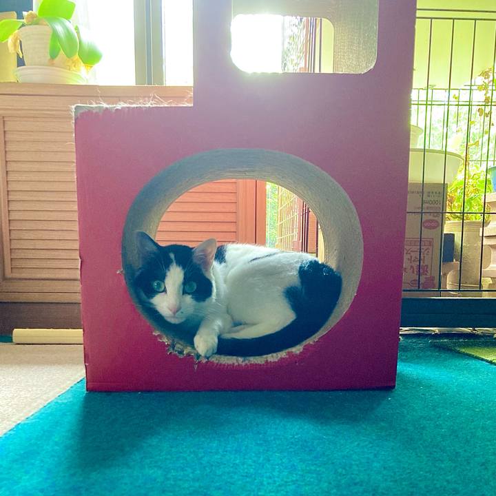 6c3f7d5d 044d 4de6 ba33 a588daa8d13b 1692852851208