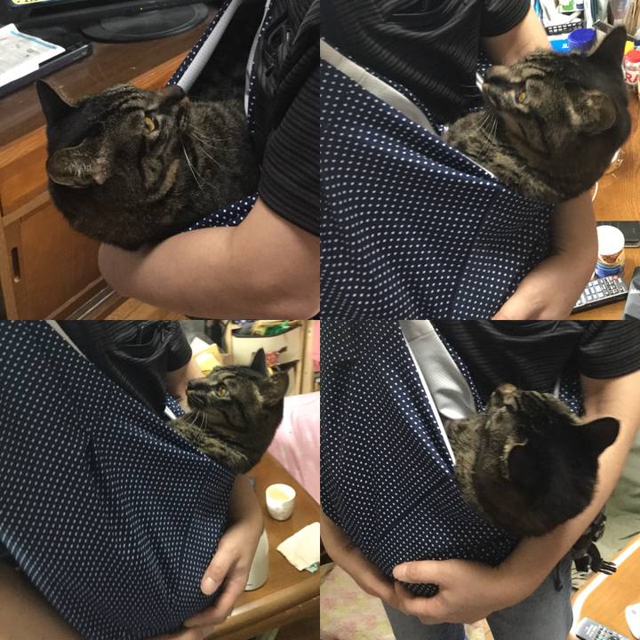 6c3f8b30 624d 4527 a6d0 be9025f8a221 1601170428900