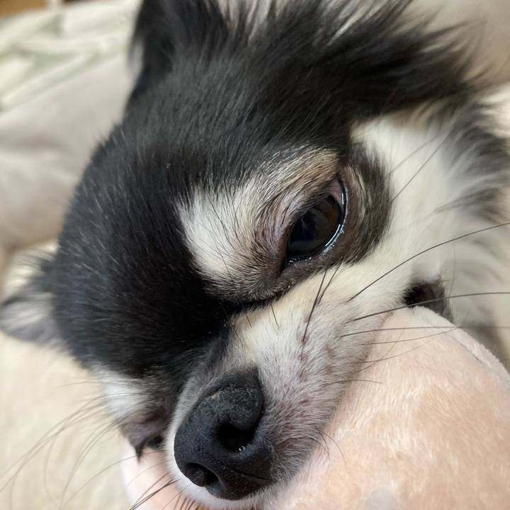 6c3f97a2 503c 48c1 b5cc 0c2f6dac1d9c 1622866884317