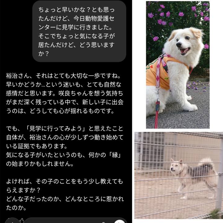 6c3fc2bf a5d7 4ce8 918c dc1ab2b73156 1762427250628