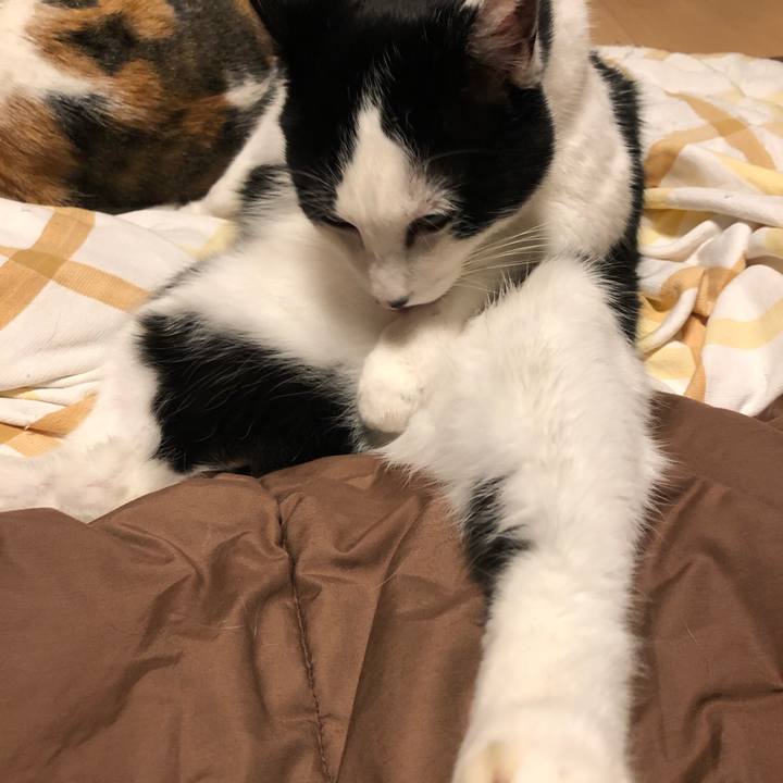 6c3fc3bd 412b 4372 b535 5c5202c9789b 1579794926388