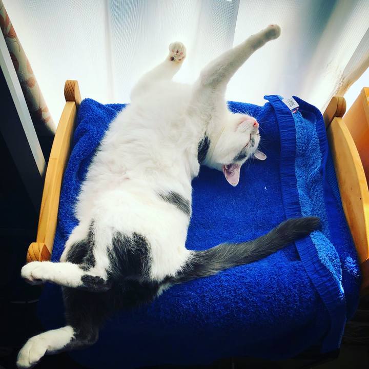 6c3fd5f2 ce23 457a a27d 4e33295c7daf 1515743330886