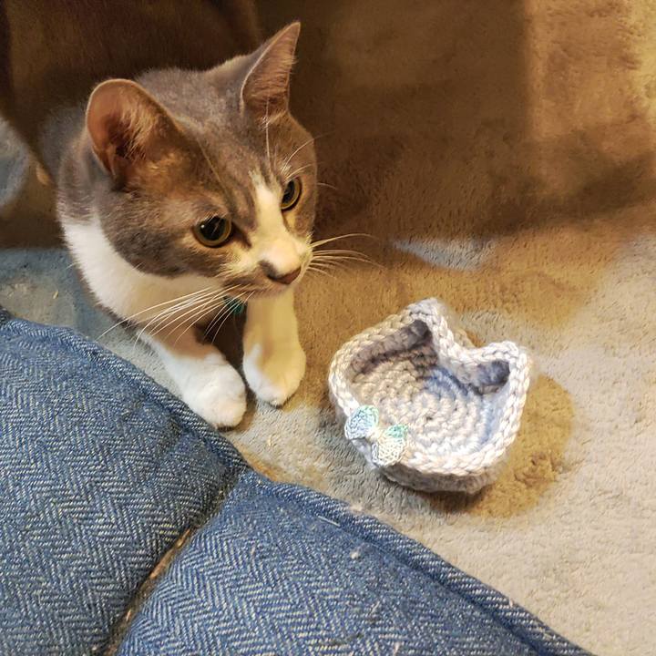 6c3ff6df 01a2 4618 9cfa a0aaf2764901 1664030642910