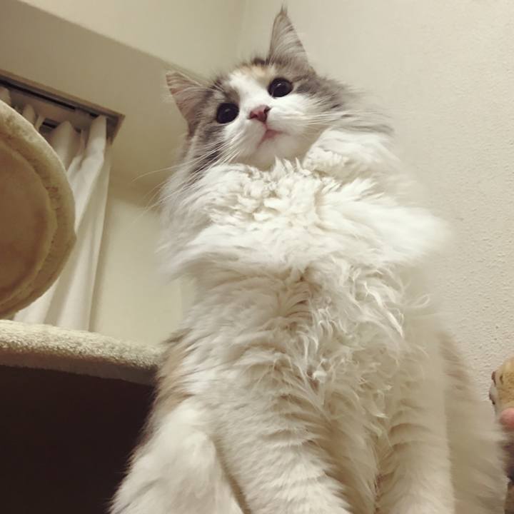 6c401ae1 6325 4509 b3c5 93e71a8bccc4 1517505037964