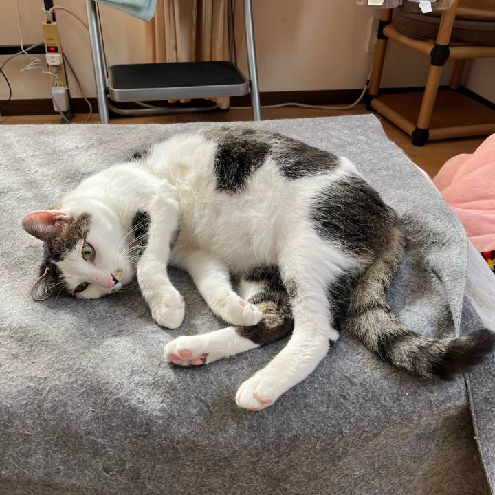 6c401ef0 118c 47e1 a031 fdadd8827439 1682724888303