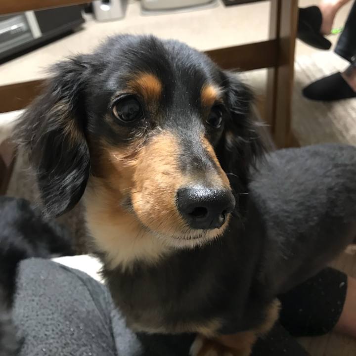 6c405a83 8da8 4276 8304 31a81859bd73 1519336355146