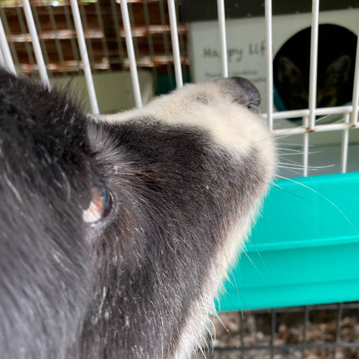 6c405b9a 43f2 43d9 9a1f 80b209bc5f4f 1653525024625