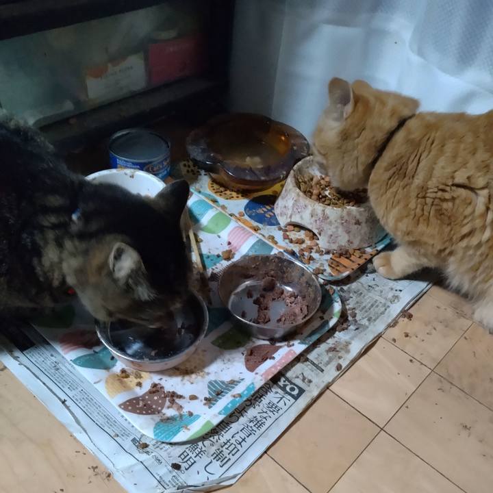 6c40ae5e 226e 4a5c bbfa 8b7aa7ec69f7 1672268777112