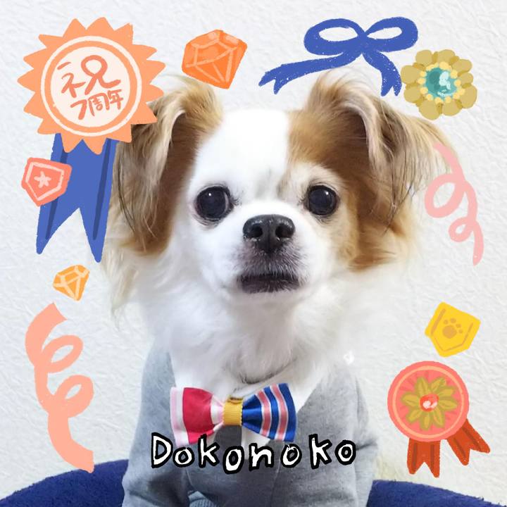 6c40ff14 7368 4c89 a23e 06dc01635f62 1685981158621