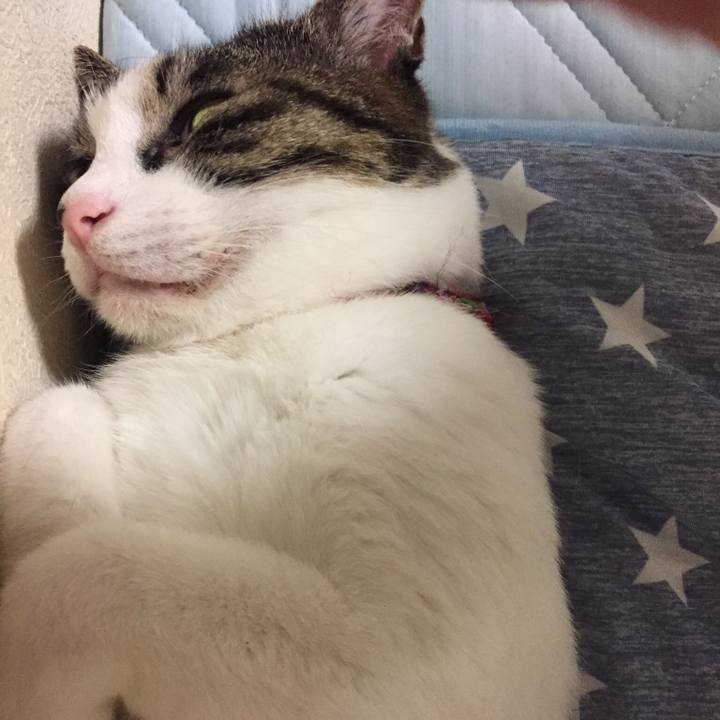 6c411f01 5c25 484e 9f05 f6c4d156633b 1533131969708