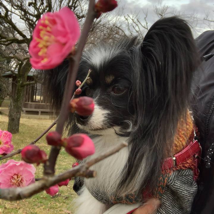 6c413b39 4b1f 457a a330 c6139a3a5b88 1580042117240