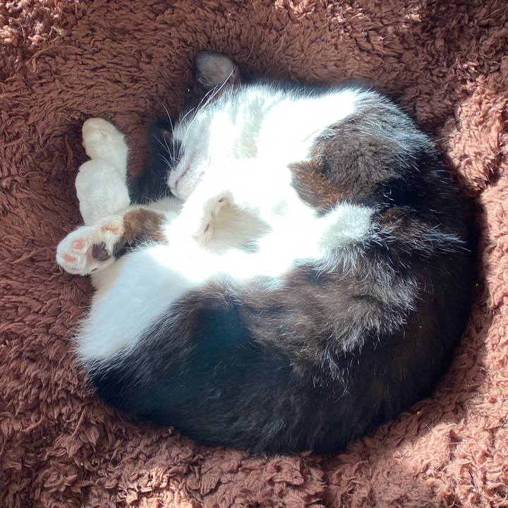 6c415398 b5c5 4ba0 8c3f bfc630d95767 1604483883158